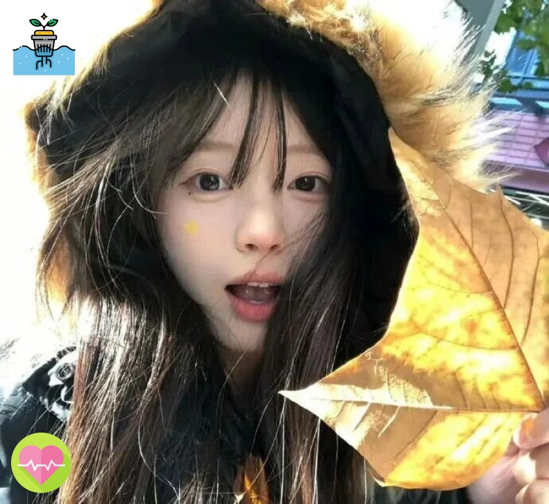 李欣球迷